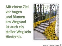 mit einem ziel vor augen