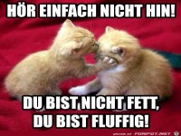 Hoer einfach nicht hin