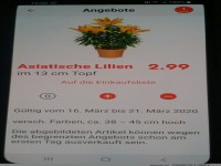 Gef�hrliche Blumen