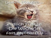 guten Morgen am Freitag