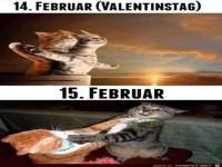 der 14. und 15. Februar