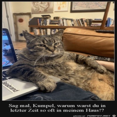 Ich-hab-da-mal-ne-Frage.jpg von Ida