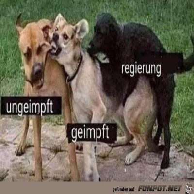 So-ist-das-wirklich.jpg von Marleen