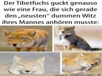 Gelangweilter Blick