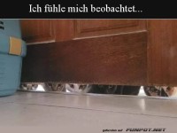 Beobachtet