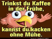 In der Fr�he