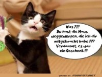 Das war ein Geschenk