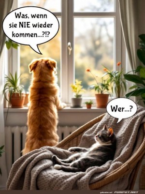 Wartezeiten-fr-Anfnger:-Hund-vs.-Katze.jpg auf www.funpot.net