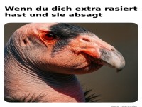 Wenn der Rasierspa umsonst war