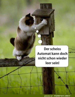 Katzen-Logik:-Immer-leerer-Automat!.jpg auf www.funpot.net
