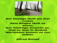 der hastige l�uft am ziel vorbei