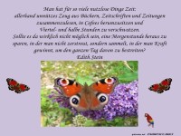 Man hat f�r so viele