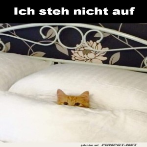 fun-Bild: Ich steh nicht auf