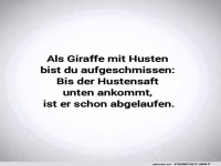 Giraffentherapie: Der lange Weg des Hustensafts