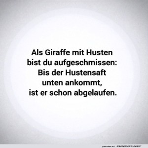 Giraffentherapie:-Der-lange-Weg-des-Hustensafts.jpg von Matilda