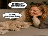 Katzenweisheit: Genialit�t braucht Pausen!