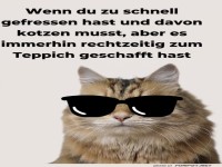 Katzen-Teppich-Dilemma