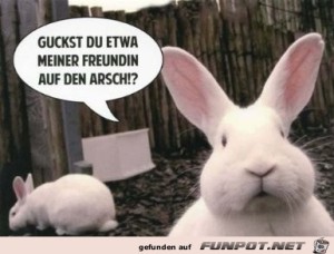 Guckst-du.jpg auf www.funpot.net