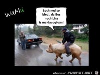 Lach nicht so bloed der Bus nach Linz ist mir davongefahren
