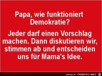 wie funktioniert Demokratie