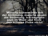 manche schwimmen mit der Str�mung......