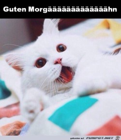 Guten-Morgen.jpg auf www.funpot.net