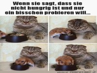 Genauso ist das