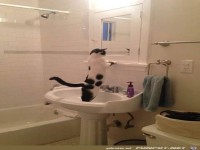 Ich hab die Haare sch�n