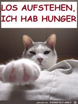 Steh-auf.jpg auf www.funpot.net