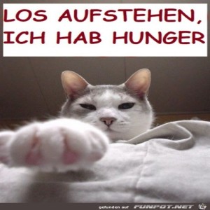 Begr&uuml;&szlig;ungsbild