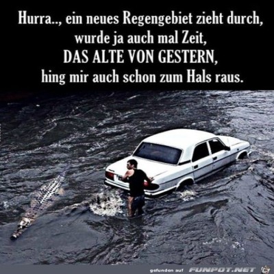 Neues-Regengebiet.jpg von Marisa