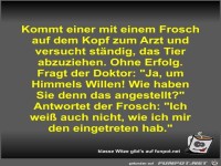 Kommt einer mit einem Frosch auf dem Kopf zum Arzt und...