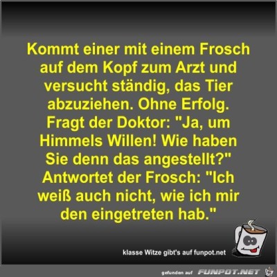 Kommt-einer-mit-einem-Frosch-auf-dem-Kopf-zum-Arzt-und....jpg von Fossy