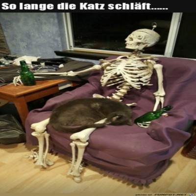 Die-Katze-hat-zu-lange-geschlafen.jpg von Runa
