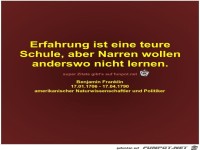 Erfahrung ist eine teure
Schule