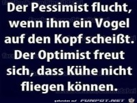 Der Pessimist