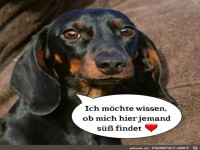 Ich m�chte wissen