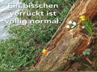 Ein bisschen verrückt