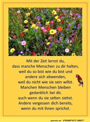 Mit-der-Zeit-lernst-du.jpg auf www.funpot.net