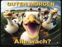Frhliche Enten wnschen guten Morgen