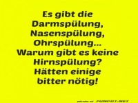 Humorvolle Frage zur Hirnsp�lung