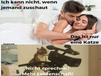 Lustiger Katzen-Meme ber Beobachtung
