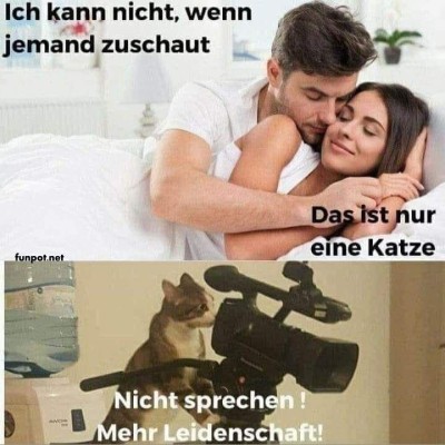 Lustiger-Katzen-Meme-&uuml;ber-Beobachtung.jpg von Luka22