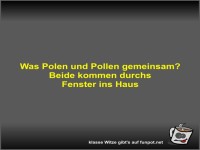 Was Polen und Pollen gemeinsam?