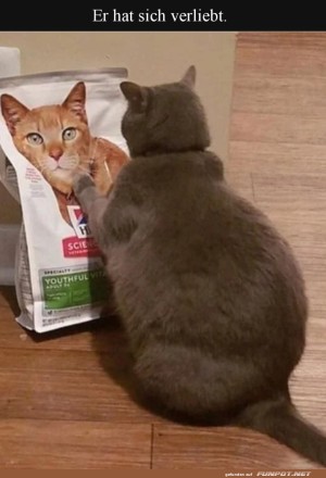 Katze-verliebt-sich-in-Futter-Verpackungsbild.jpg auf www.funpot.net