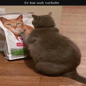 Katze-verliebt-sich-in-Futter-Verpackungsbild.jpg von Lotusbluete