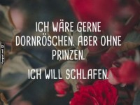 Dornrschen's Traumjob: Ausschlafen!