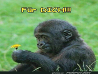 F�r Dich
