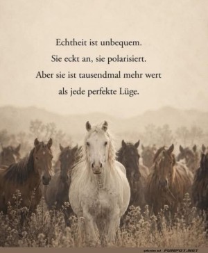 Das-weiße-Schaf-der-Herde.jpg auf www.funpot.net