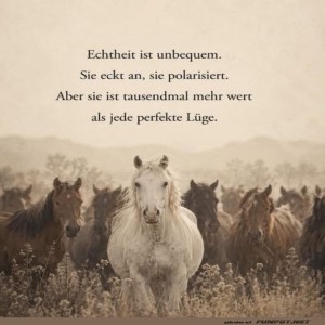 Das-weiße-Schaf-der-Herde.jpg von Josefin